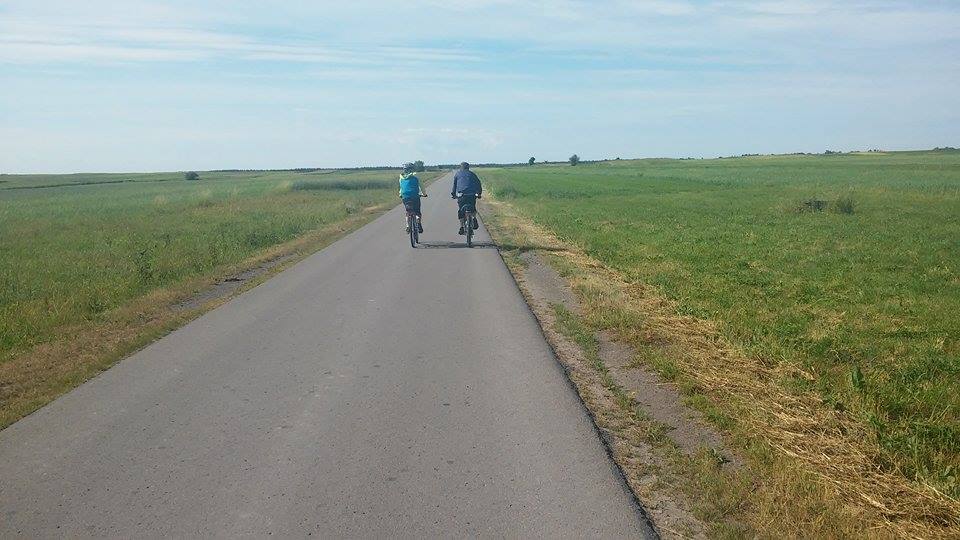 13451188_865465310225115_1394539834_n