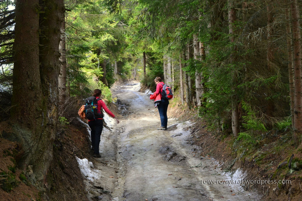 Zamiast w górę, mamy jazdę w dół