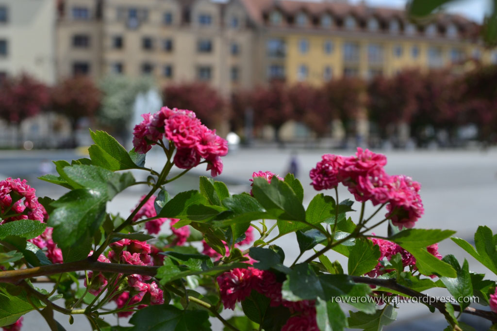 Rynek. Ostrowiec Świętokrzyski