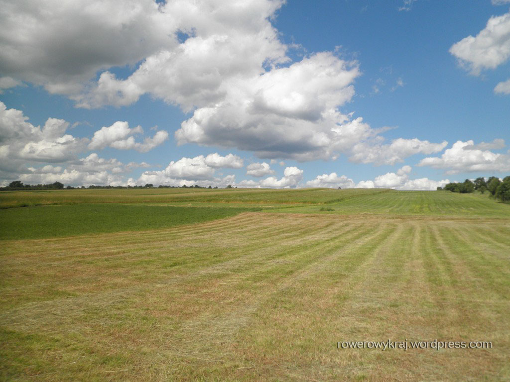 pole, pole, łyse pole... Choć tu chyba łąka :D