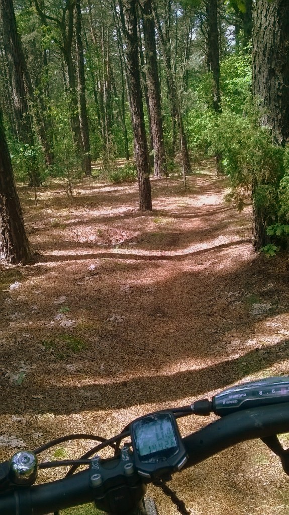 WP_20160528_13_06_42_Pro