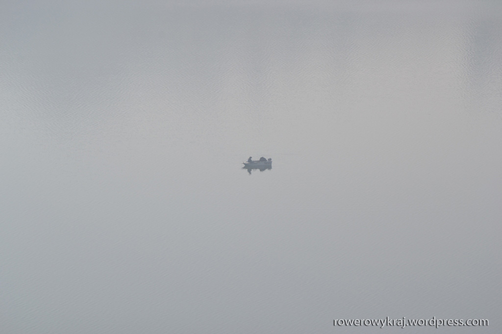 Ledwo co widać. Schowali się we mgle. Zdjęcie bez retuszu