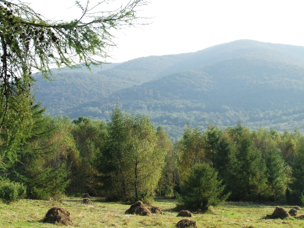 Tak było 26.09.2010r. 