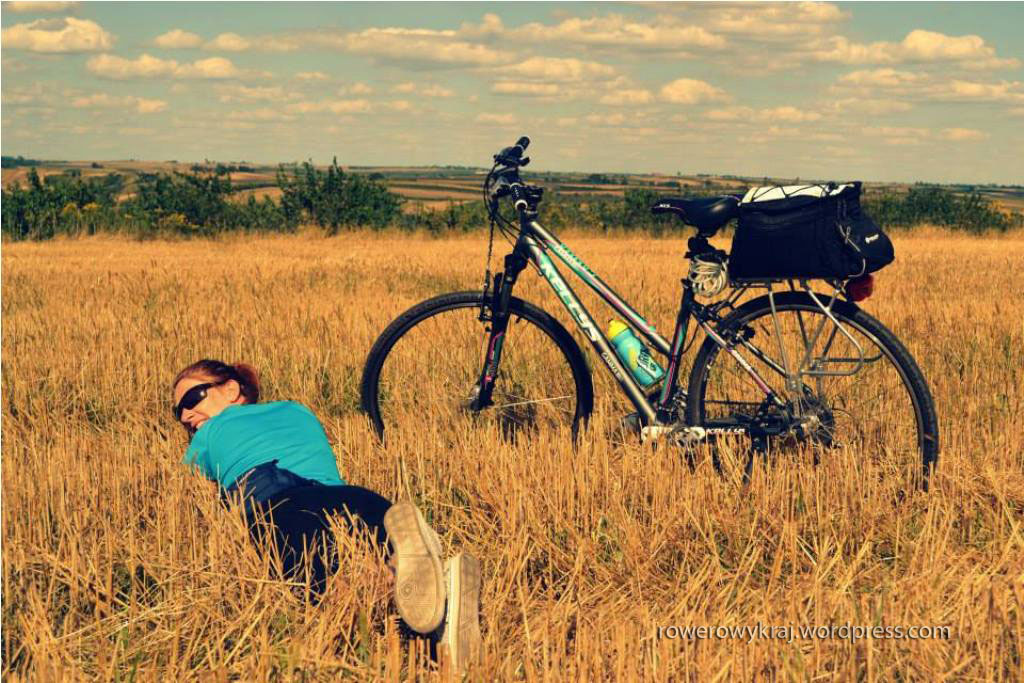 Wyżyna Sandomierska. Sierpień 2014