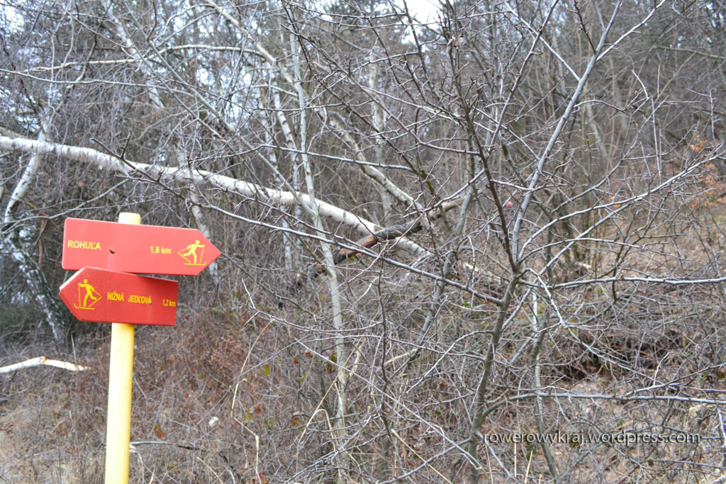 Jest!!! Jesteśmy uratowani :)