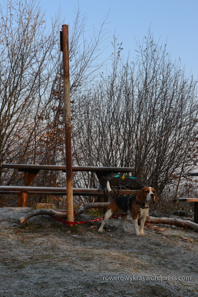 Kiedy inna ekipa piecze kiełbaski, Funny musi obejść się smakiem