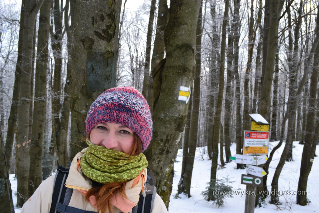 Szczyt Jawornik 1020 m n.p.m. Żółta strzałka z mną - kierunek na Rabią Skałę