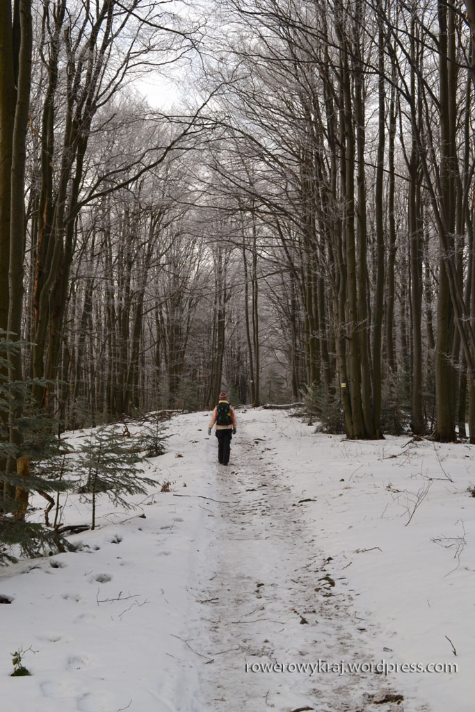 To już szlak żółty