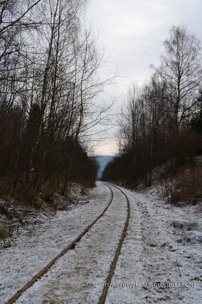 Tory niegdyś prowadzące do wsi Moczarne. Według oznaczeń dzisiaj wytyczono tędy trasę narciarstwa biegowego. Tylko śniegu brak...