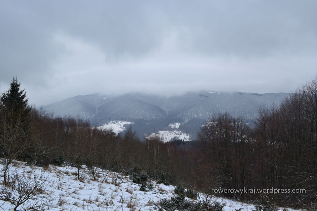 Na pierwszym prześwicie wygląda to tak. Dużo słońca, nie?