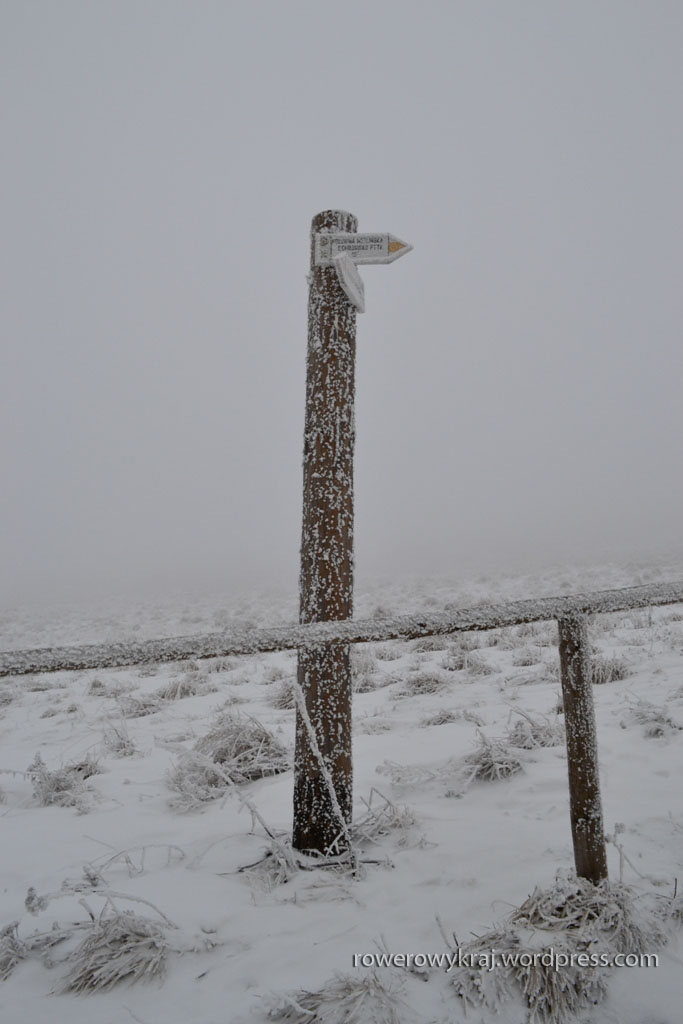 Ratująca mi, jeśli nie życie, to na pewno cztery litery, barierka