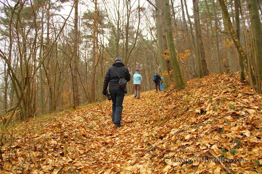 Początkowy odcinek szlaku (czyt. narciarskiej trasy biegowej)