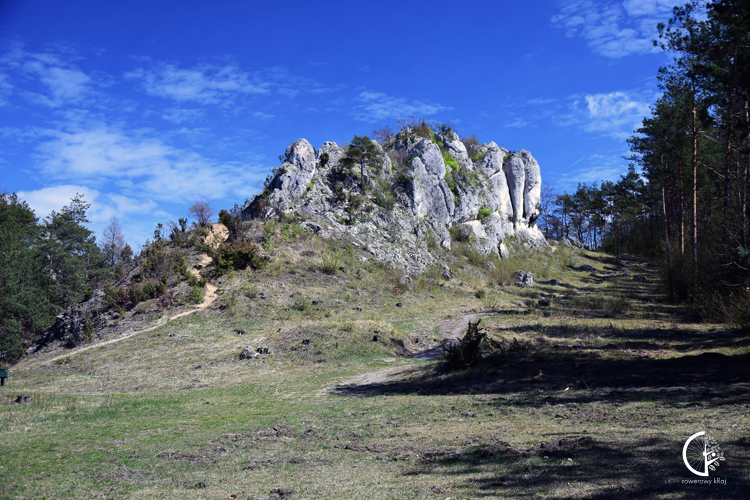 Rezerwat Przyrody Góra Zborów. Szlak Orlich Gniazd