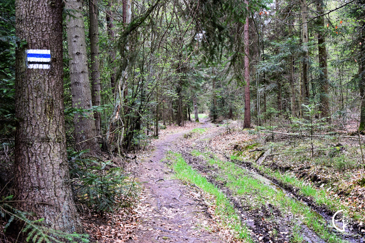 Sieradowicki Park Krajobrazowy