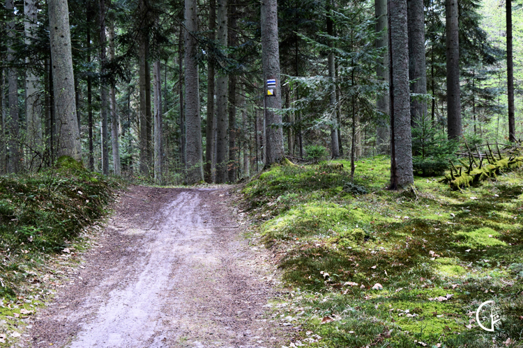 Sieradowicki Park Krajobrazowy