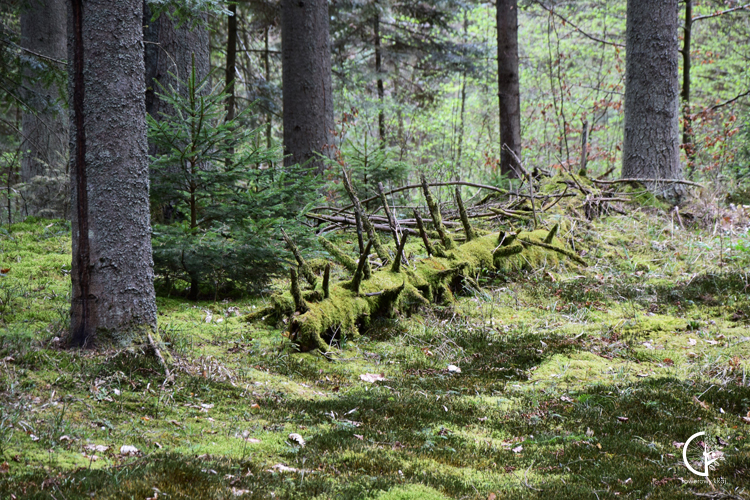 Sieradowicki Park Krajobrazowy