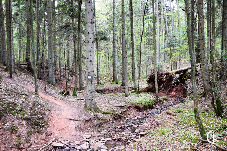 Sieradowicki Park Krajobrazowy