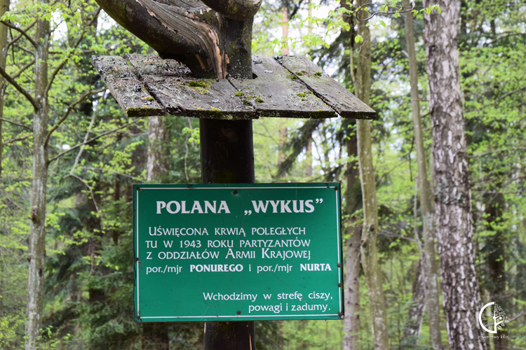 Polana Wykus