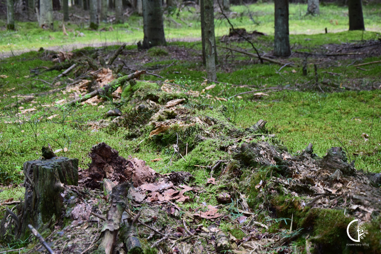 Sieradowicki Park Krajobrazowy