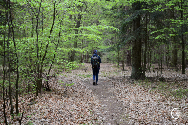 Sieradowicki Park Krajobrazowy