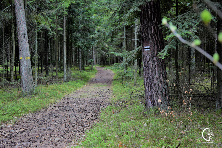 Sieradowicki Park Krajobrazowy