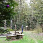 Sieradowicki Park Krajobrazowy. Polana Langiewicza